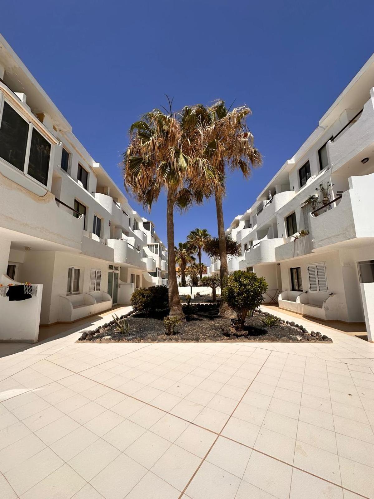Casa Isabel Apartment Costa De Antigua Bagian luar foto