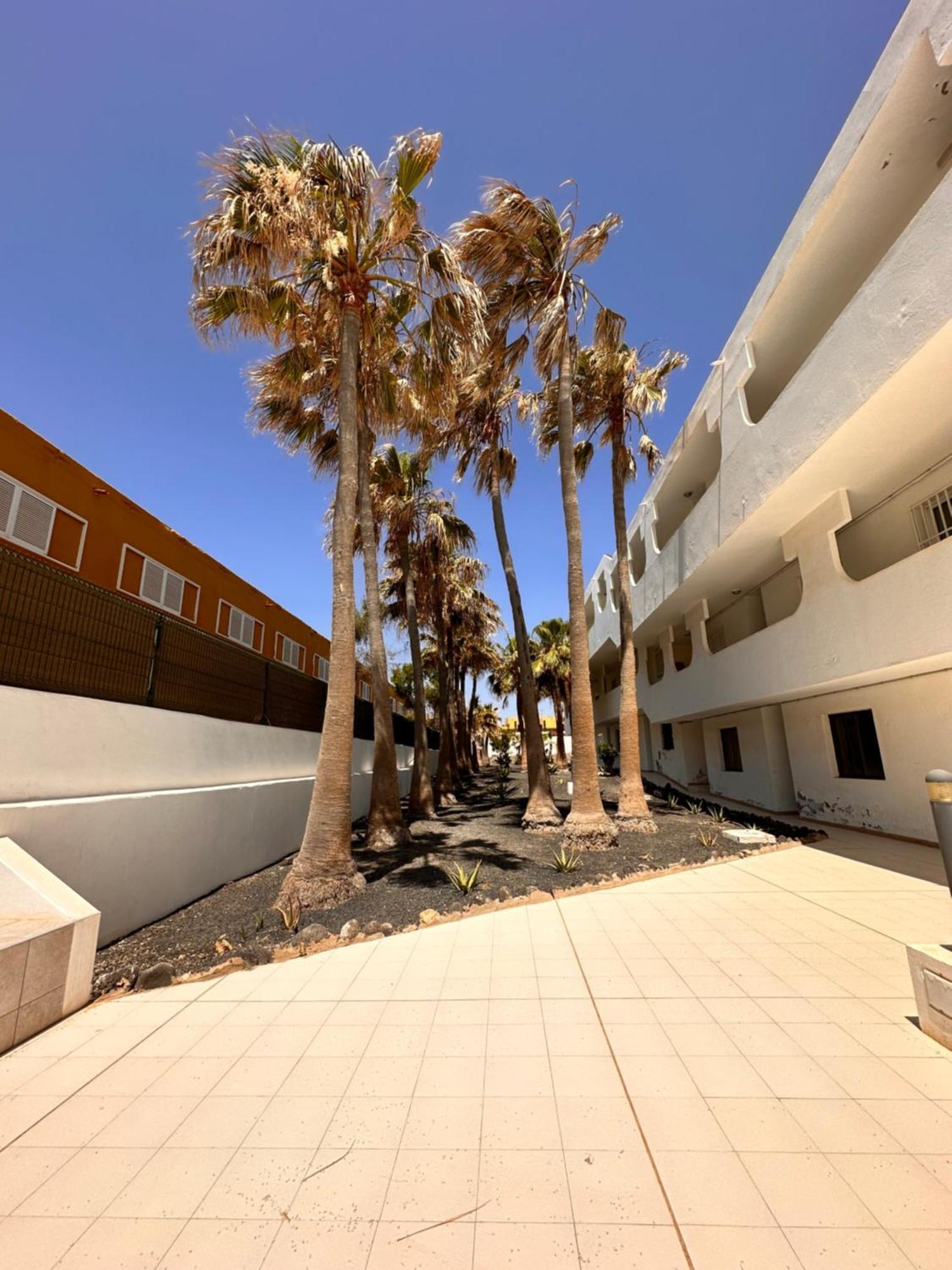 Casa Isabel Apartment Costa De Antigua Bagian luar foto